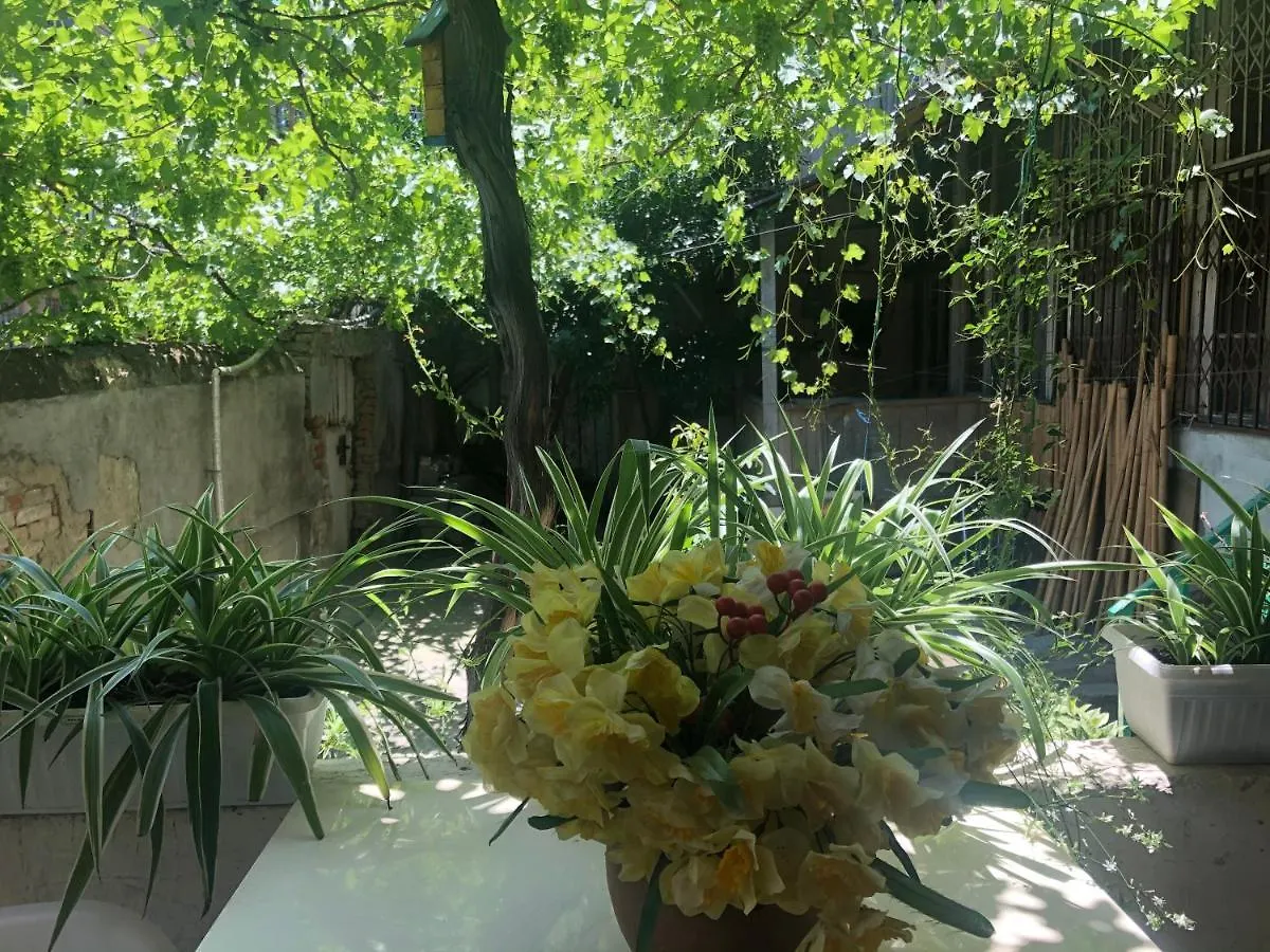 Old City Apartment تبليسي